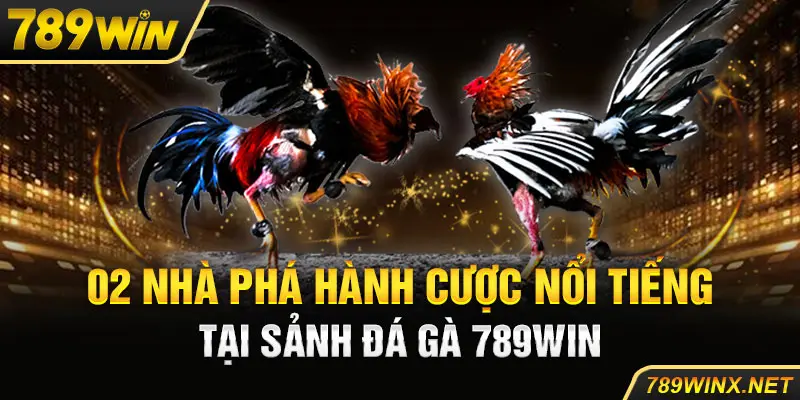 02 nhà phá hành cược nổi tiếng tại sảnh đá gà 789win 