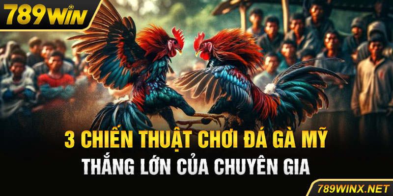 3 chiến thuật chơi đá gà mỹ thắng lớn của chuyên gia