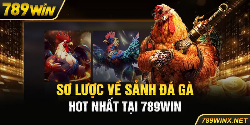 Sơ lược về sảnh đá gà hot nhất tại 789win