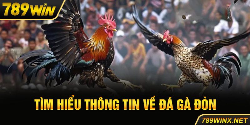 Tìm hiểu thông tin về đá gà đòn