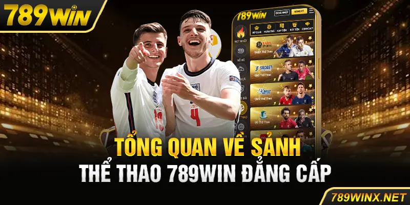 Tổng quan về sảnh thể thao 789win đẳng cấp