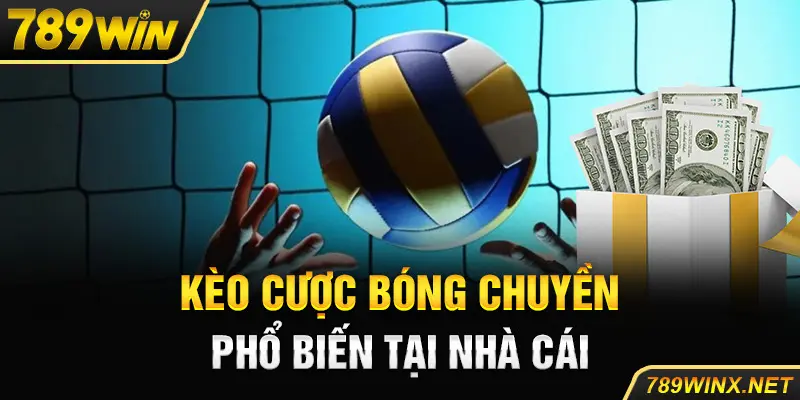 Kèo cược bóng chuyền phổ biến tại nhà cái