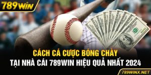 Cách Cá Cược Bóng Chày Tại Nhà Cái 789Win Hiệu Quả Nhất 2024