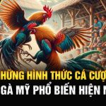 Những Hình Thức Cá Cược Đá Gà Mỹ 789win Phổ Biến Hiện Nay