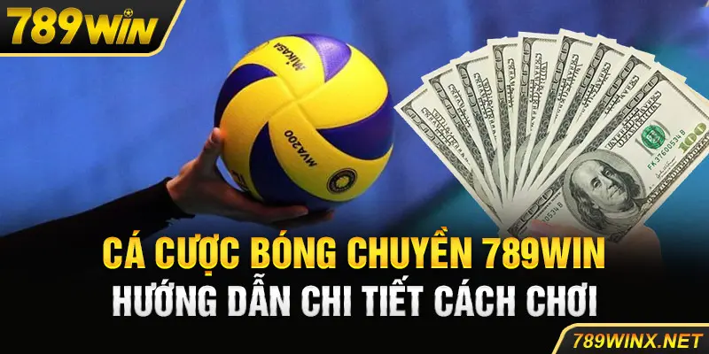 Cá Cược Bóng Chuyền 789win